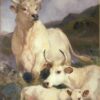 Edwin Henry Landseer - The Wild Cattle of Chillingham (1867) Romanticism Wildlife Art – Hand-Painted Oil Reproduction by Dafen Village Studio 1 Reproduction à l'huile peinte à la main du tableau d'Edwin Henry Landseer datant de 1867, intitulé « The Wild Cattle of Chillingham », représentant des bovins blancs dans un paysage brumeux.