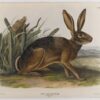 Hand-Painted Oil Painting Replica: American Elk by John James Audubon (Dafen Artist Studio) 1 Hand painted oil painting replica of American Elk by John James Audubon, Naturalism style animal canvas art by Dafen Studio artists