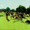 Frederic Remington Charge of the Rough Riders at San Juan Hill Hand-Painted Oil Painting Reproduction by Dafen Village Studio 1 Hand-painted oil reproduction of Frederic Remington's military painting Charge of the Rough Riders at San Juan Hill on canvas
