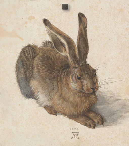 Albrecht Dürer Young Hare 1502 Reproduction – 100% Hand-Painted Fine Art Watercolor on Paper