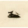 Réplique peinte à la main à l’huile de la « Brown Titlark » (planche 10 de *Birds of America*) de John James Audubon, œuvre sur toile représentant la faune sauvage dans un style naturaliste, réalisée par les artistes du Dafen Studio