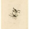 Hand-Painted Oil Painting Replica: Song Sparrow (Plate 25, Birds of America) by John James Audubon (Dafen Artist Studio) 1 Hand painted oil painting replica of Song Sparrow Plate 25 Birds of America by John James Audubon, Naturalism style wildlife canvas art by Dafen Studio artists