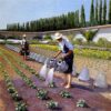 Gustave Caillebotte: The Gardeners (1875–1877) Impressionist Masterpiece – Hand-Painted Oil Reproduction by Dafen Village Studio 2 Hand-painted oil painting reproduction of Gustave Caillebotte The Gardeners showing gardeners working in a sunlit estate garden