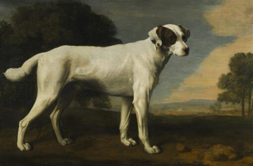 George Stubbs / Viscount Gormanston’s White Dog (1781) Romanticism – Hand-Painted Oil Reproduction by Dafen Village Studio