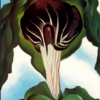 Georgia O'Keeffe Jack-in-the-Pulpit III Hand-Painted Oil Painting Reproduction 2 Hand-painted oil reproduction of Georgia O'Keeffe's Jack-in-the-Pulpit III featuring a magnified woodland flower in deep purple and green tones on canvas.