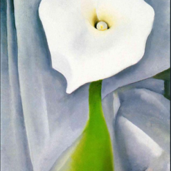 Hand-painted oil reproduction of Georgia O'Keeffe's Calla Lily on Grey featuring an elegant white calla lily against a neutral grey background on canvas.