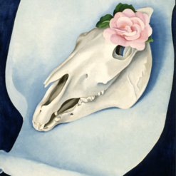 Horse’s Skull with Pink Rose (1931) by Georgia O'Keeffe depicting a sun-bleached horse skull holding a delicate pink rose in a Precisionist style.