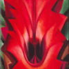 Frontal view of Georgia O'Keeffe Inside Red Canna hand-painted oil painting reproduction on canvas